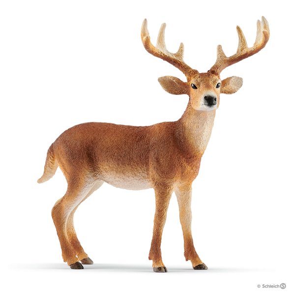 Schleich White-tailed buck 14818