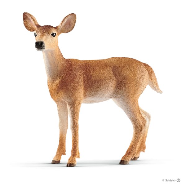 Schleich White-tailed Doe 14819