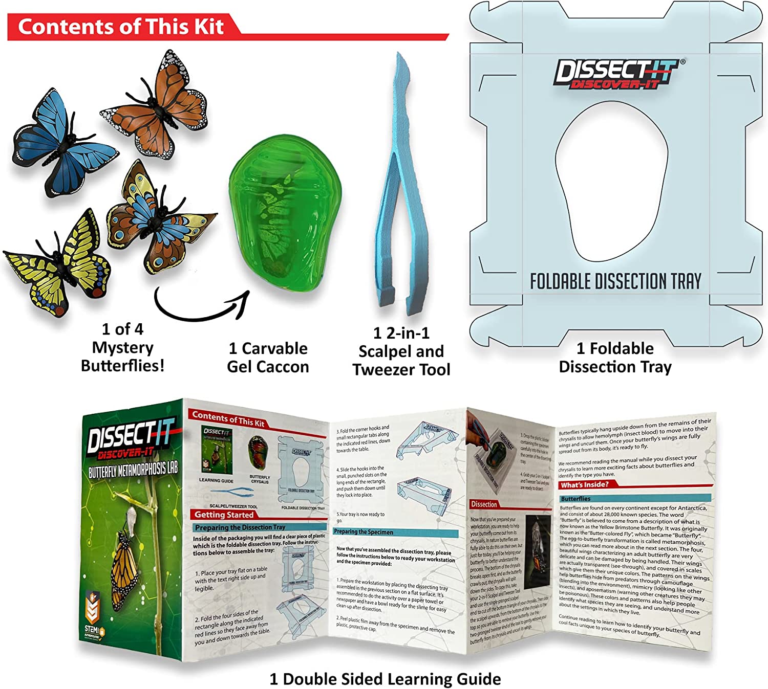 Dissect It Dicover It - Various Styles
