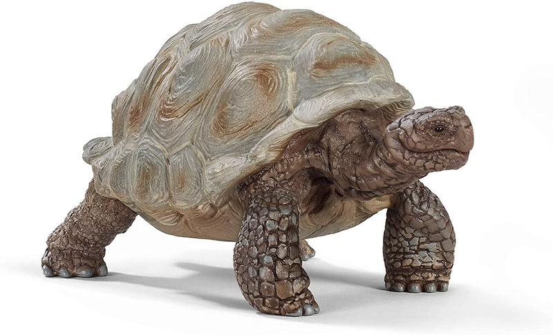 Schleich Giant Tortoise 14824