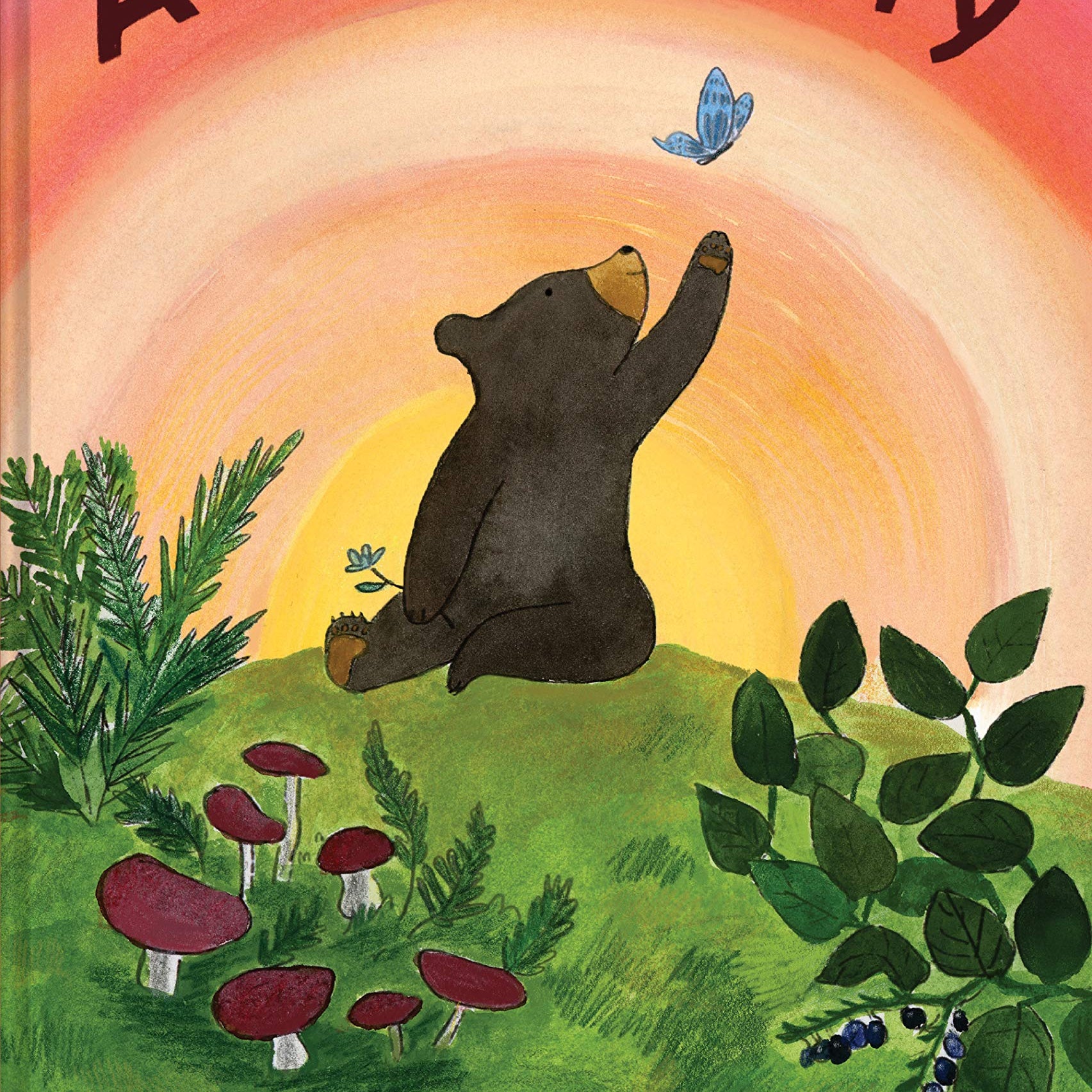 A Cub Story