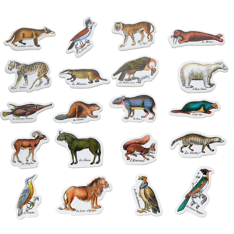 Vilac Zoological Magnets