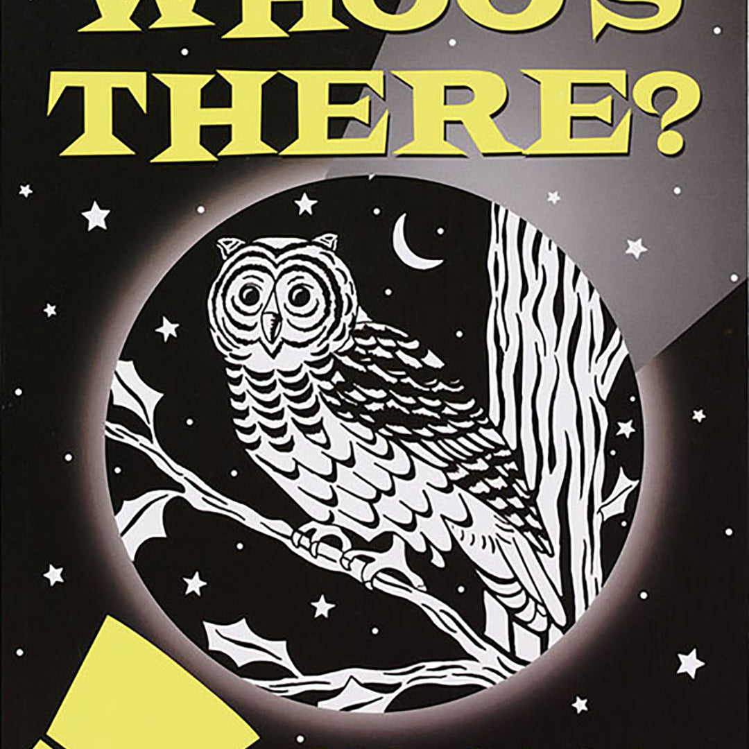 A Bedtime Shadow Book - Who’s There?