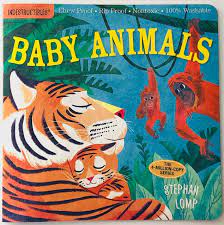 Indestructibles Books - Various Titles