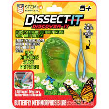 Dissect It Dicover It - Various Styles
