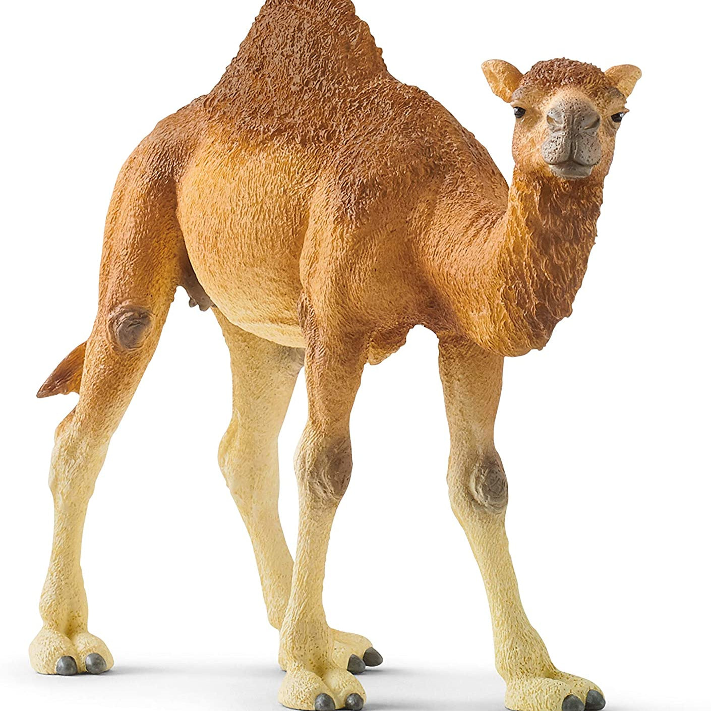 Schleich Dromedary 14832