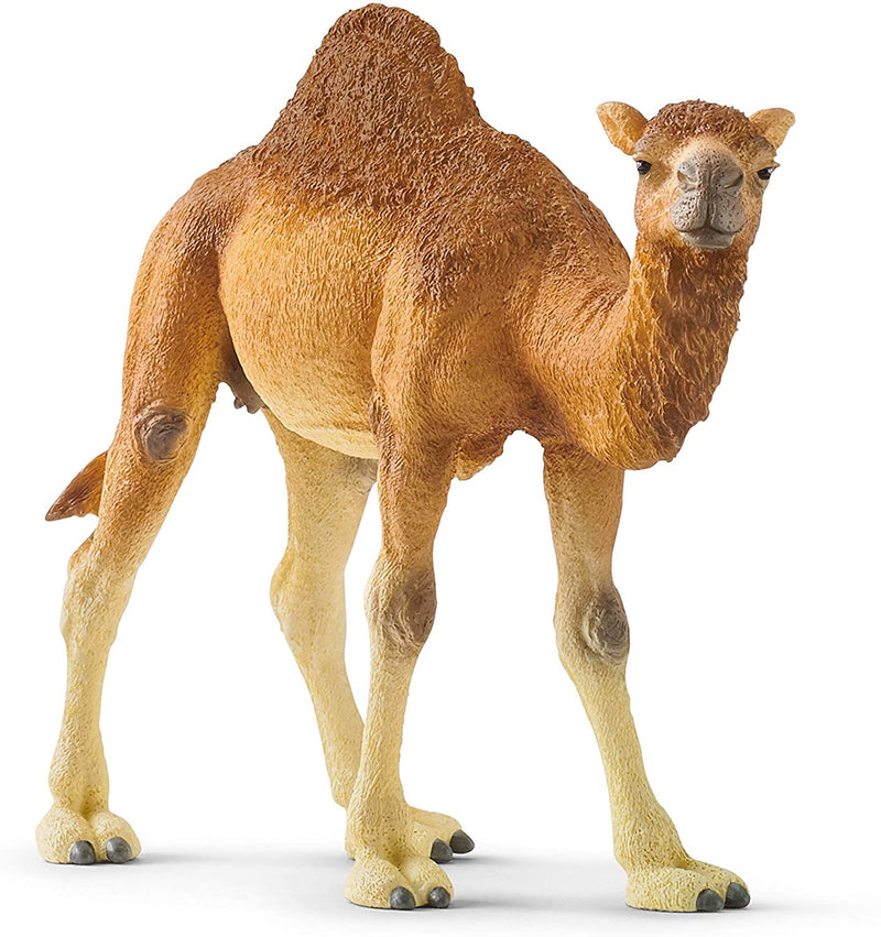 Schleich Dromedary 14832