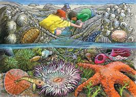 Cobble Hill 35pc Tray Puzzle - Exploring the Sea Shore