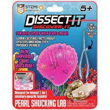 Dissect It Dicover It - Various Styles