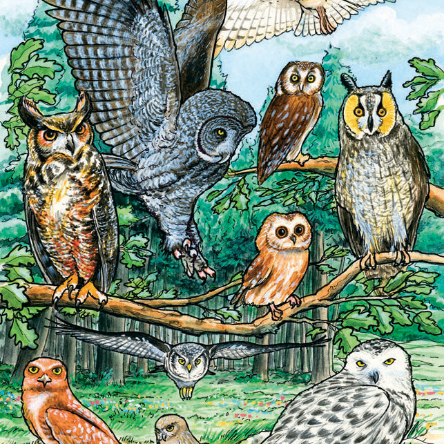 Cobble Hill 35pc Tray Puzzle - North American Owls