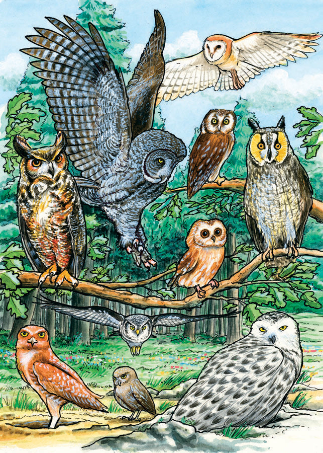 Cobble Hill 35pc Tray Puzzle - North American Owls