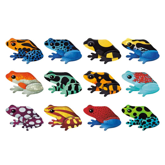Shaped Memory Match - Tropical Frogs